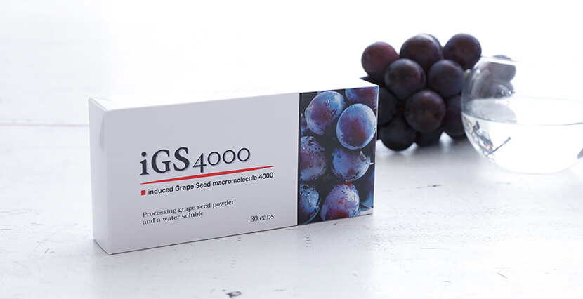 iGS4000