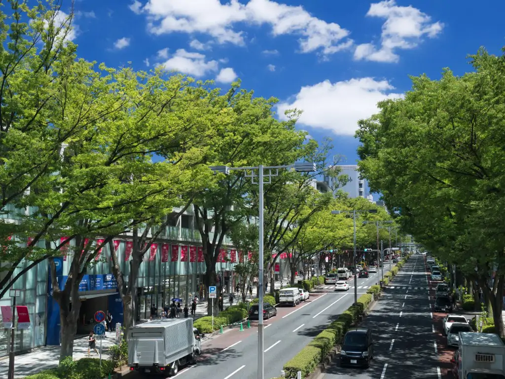 表参道の街並み