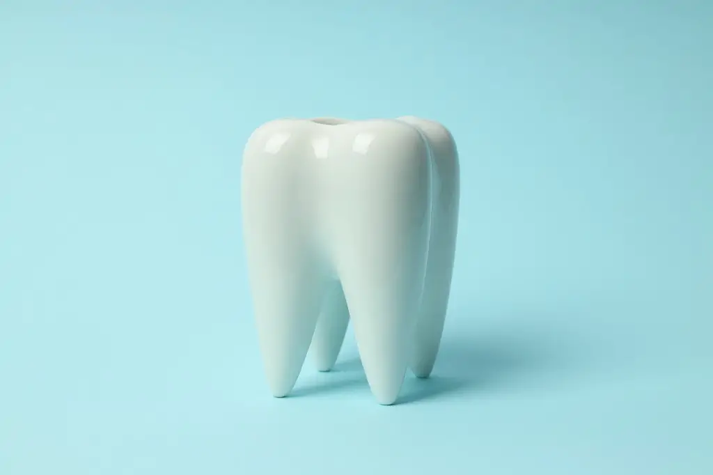 高い強度と美しさを兼ね備えたジルコニア